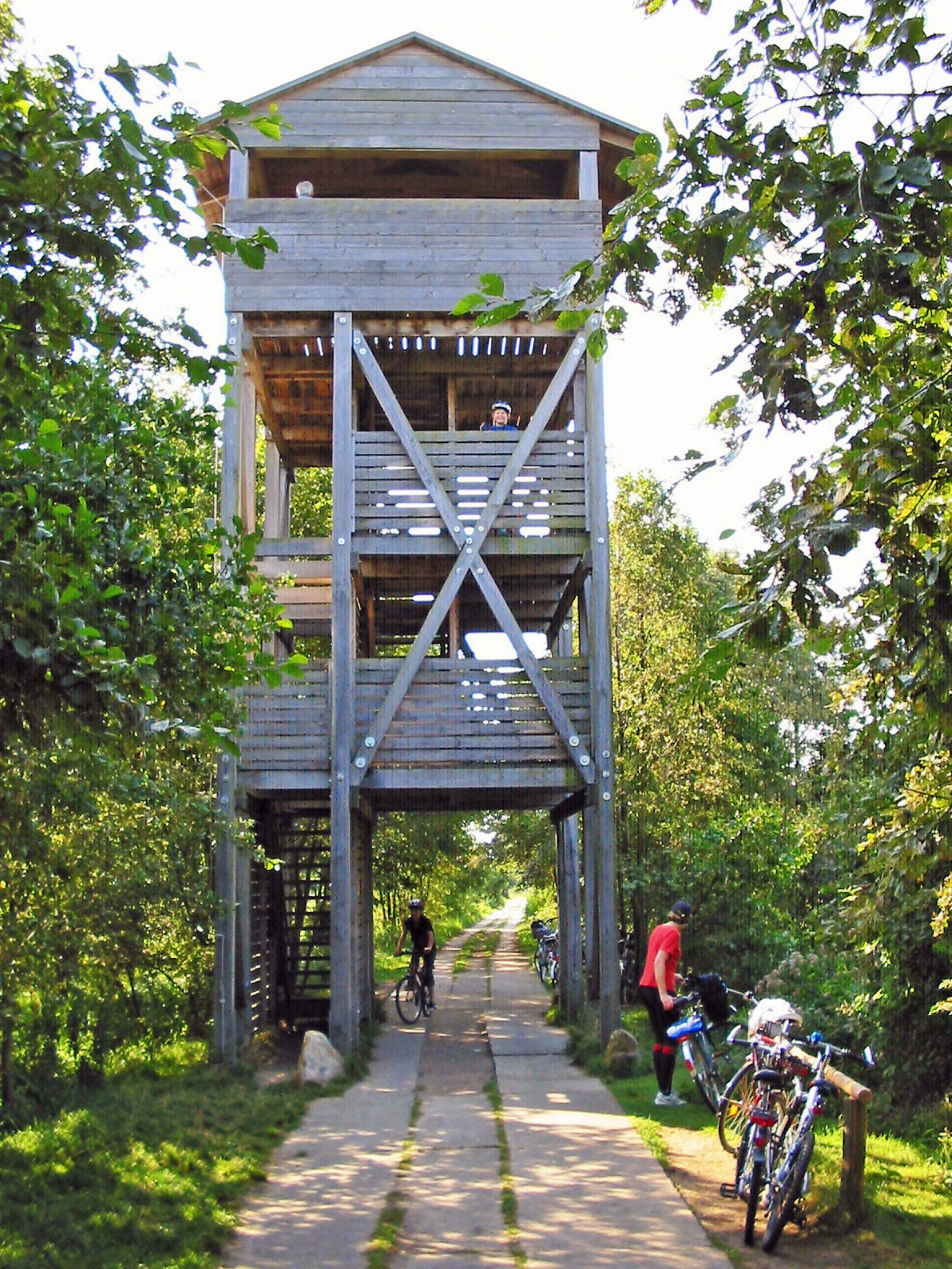 Aussichtsturm am Specker See im Müritz-Nationalpark Aussichtsturm am Specker See im Müritz-Nationalpark