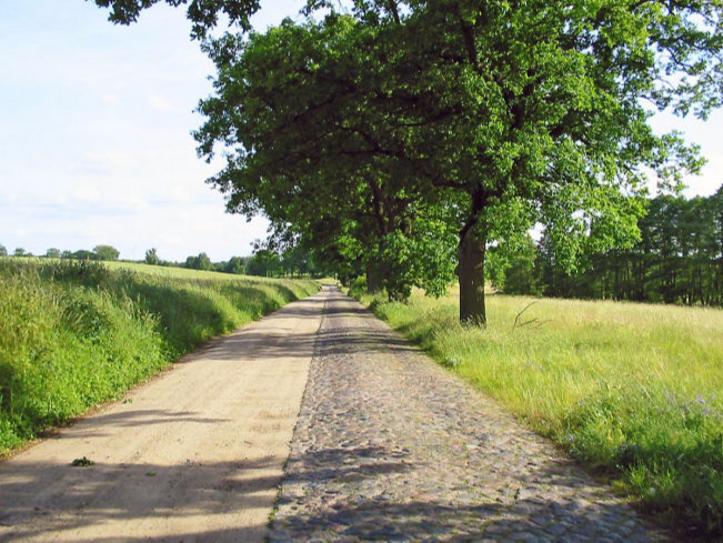 Nossentiner Schwinzer Heide 