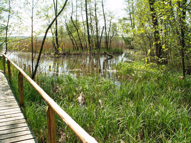 Müritz-Nationalpark