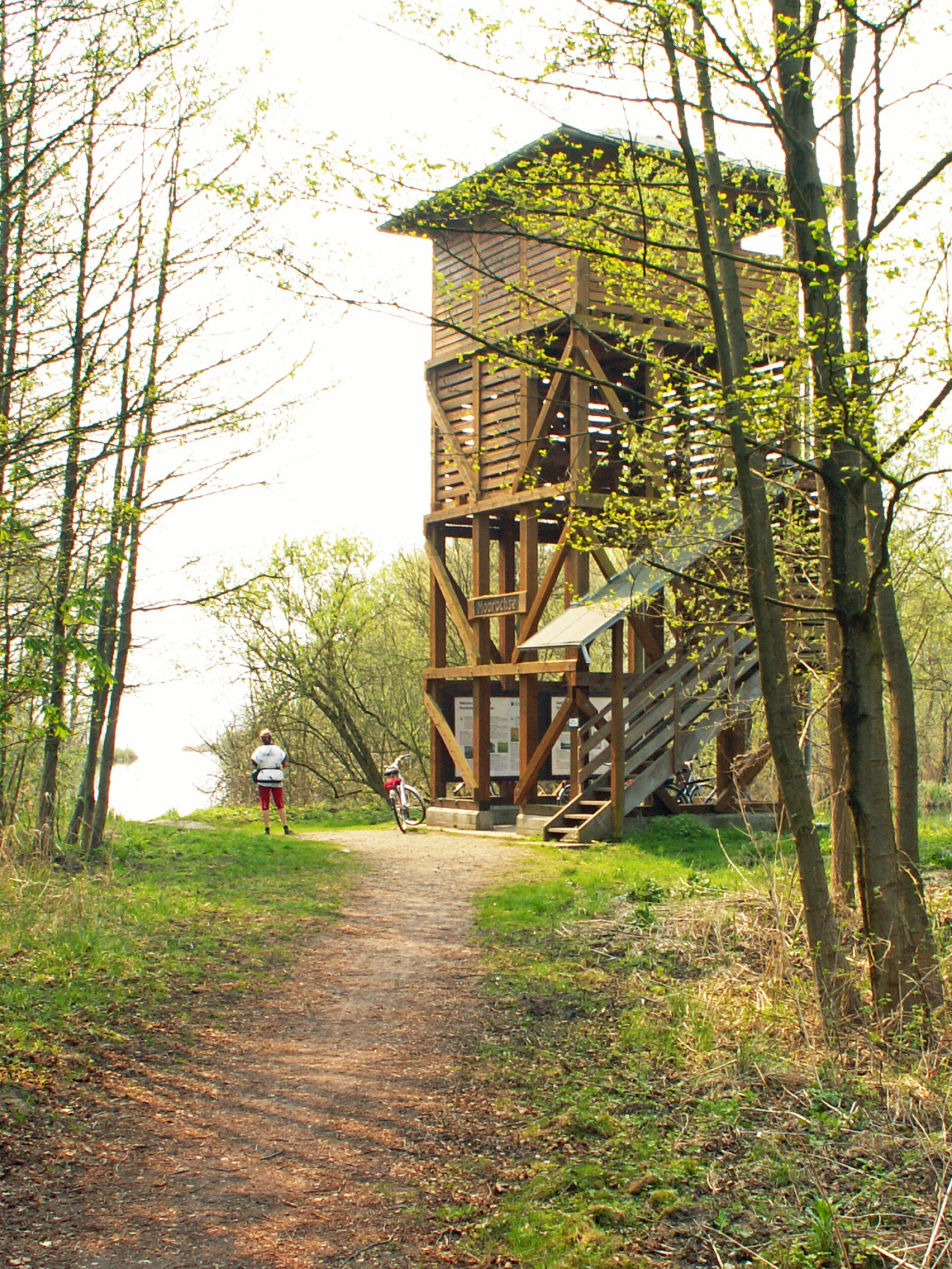 Aussichtsturm Moorochse am Plauer See Aussichtsturm Moorochse am Plauer See